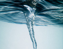 不同介质粘度的搅拌